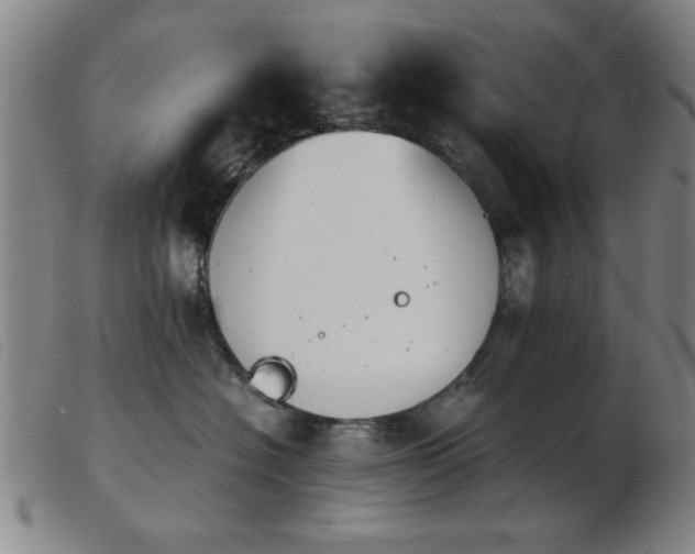 X0000103900574200809191241