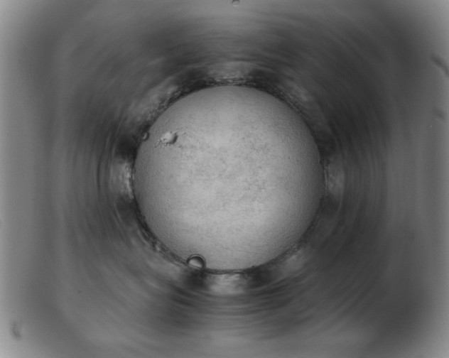 X0000103900575200809191241
