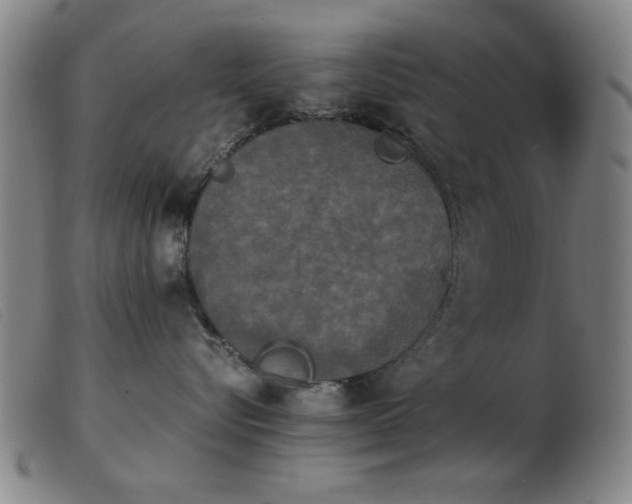 X0000103900576200809191241