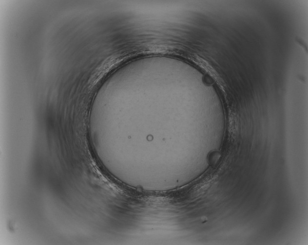 X0000103900577200809191240