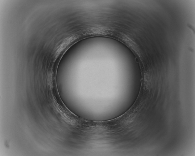 X0000103900578200809191240