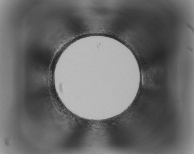 X0000103900579200809191240