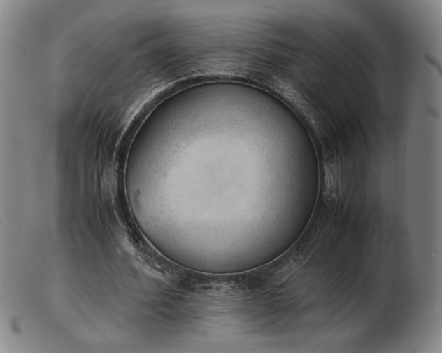 X0000103900580200809191240