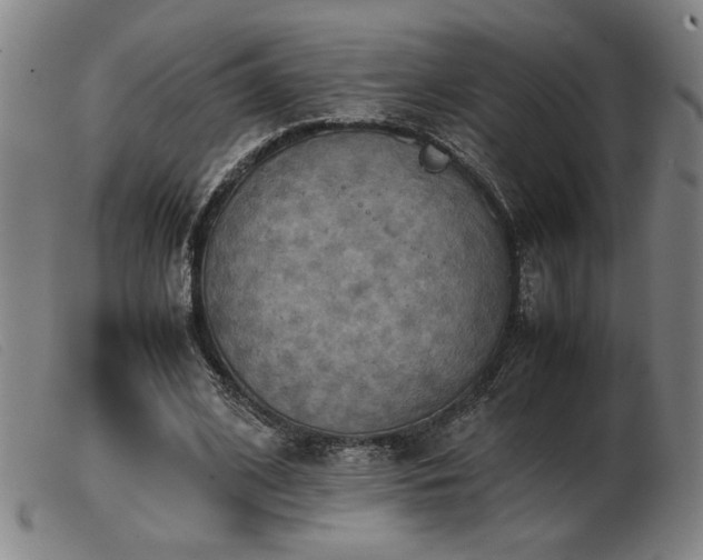 X0000103900584200809191240