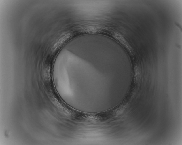 X0000103900585200809191240