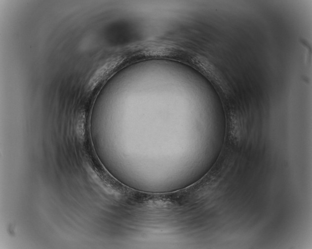 X0000103900586200809191240