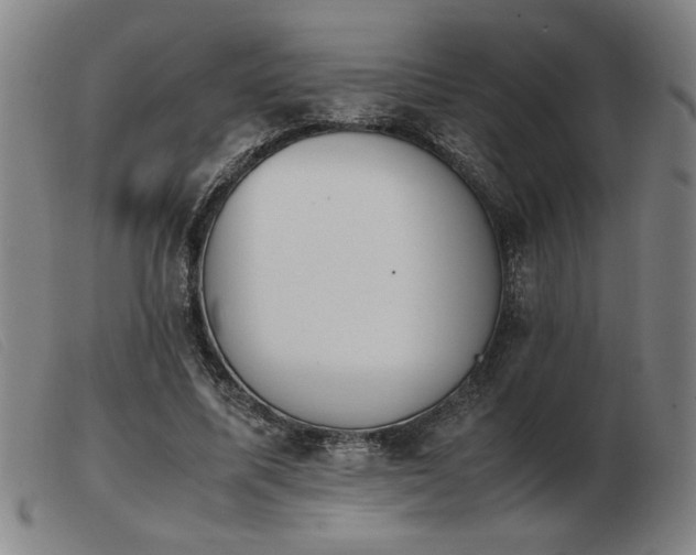 X0000103900587200809191240