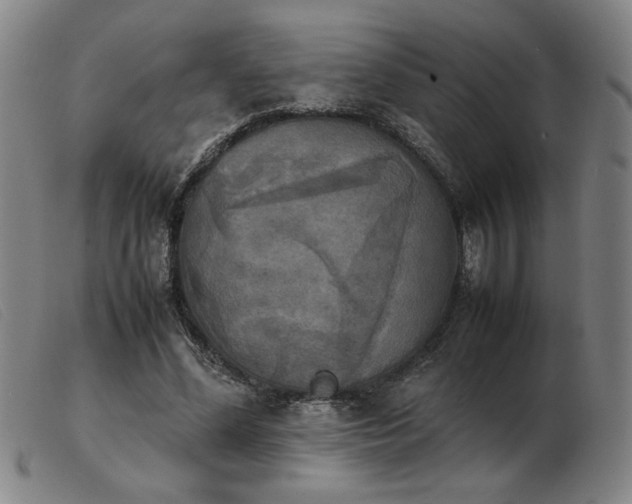 X0000103900588200809191240