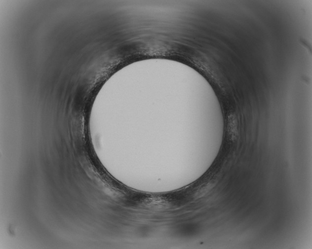 X0000103900589200809191240