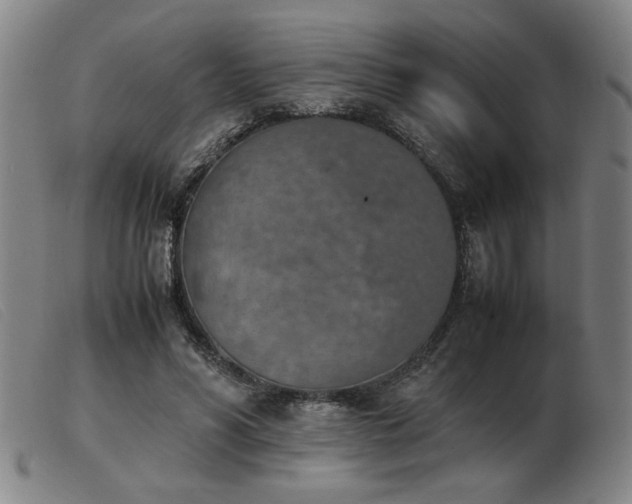 X0000103900590200809191240