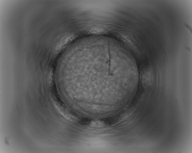 X0000103900591200809191240
