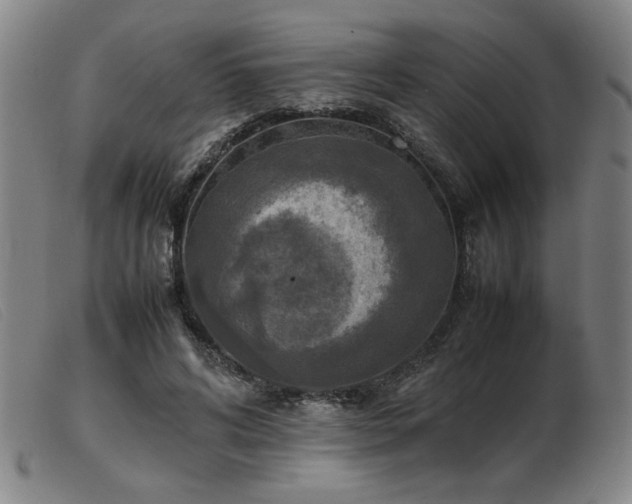 X0000103900592200809191240