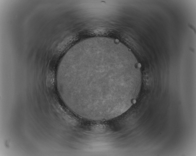 X0000103900593200809191240