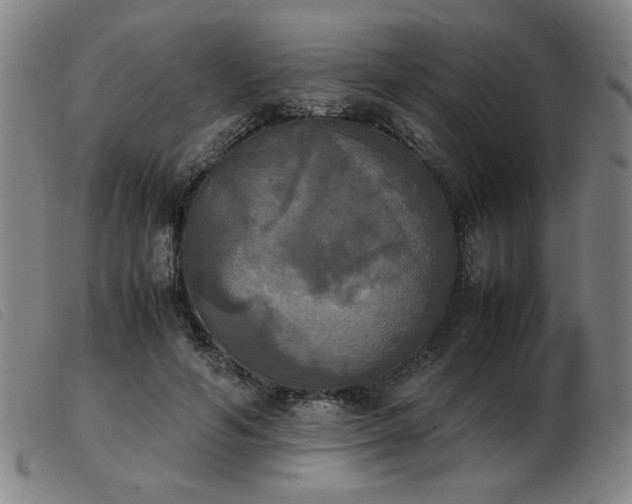 X0000103900594200809191240