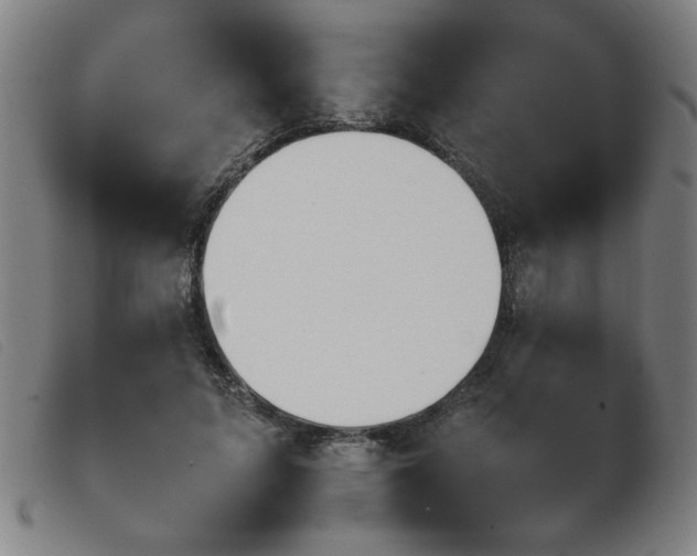 X0000103900595200809191240