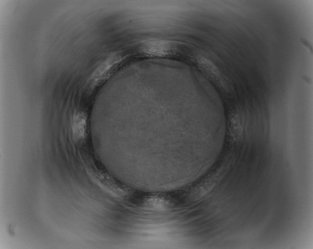 X0000103900596200809191240