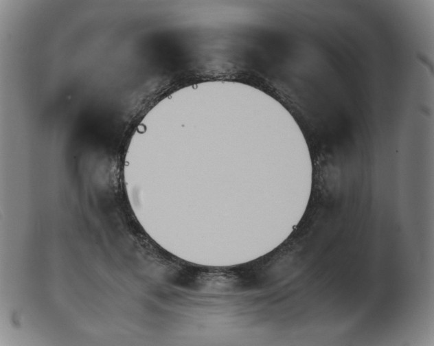 X0000103900597200809191240
