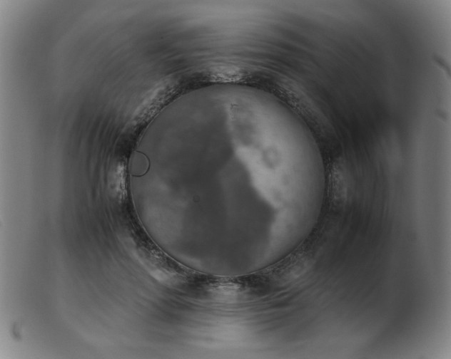 X0000103900598200809191240
