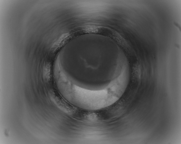 X0000103900600200809191240