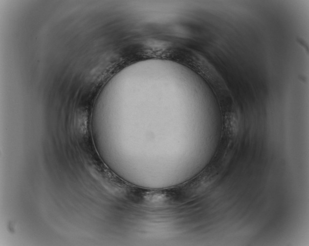 X0000103900602200809191240
