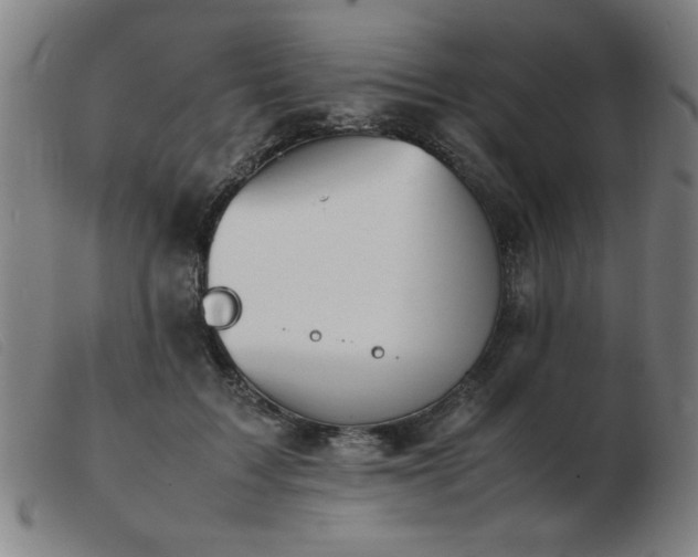 X0000103900603200809191240