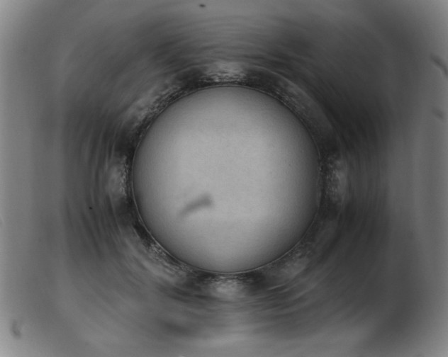 X0000103900604200809191240