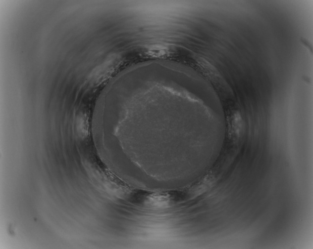 X0000103900606200809191240