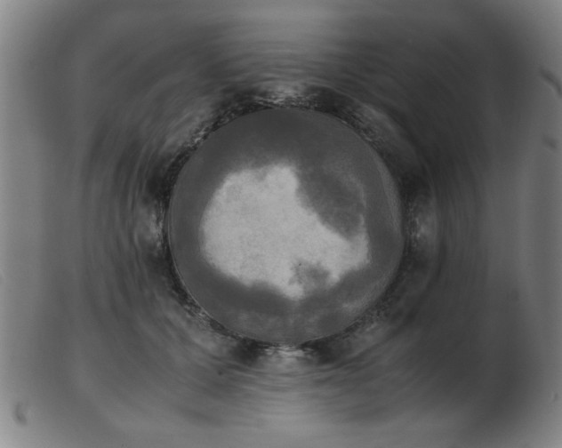 X0000103900607200809191240
