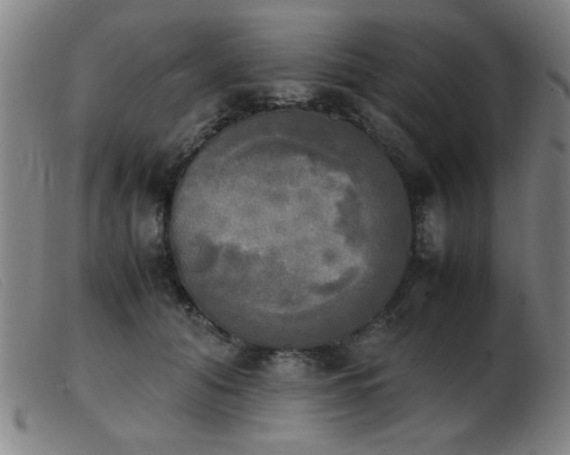 X0000103900608200809191240