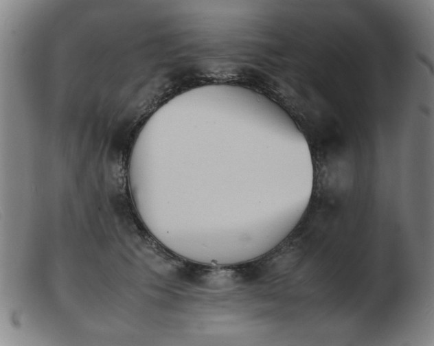 X0000103900609200809191240