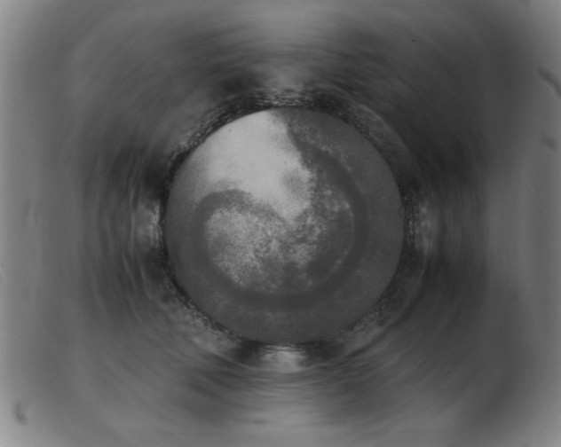 X0000103900610200809191240