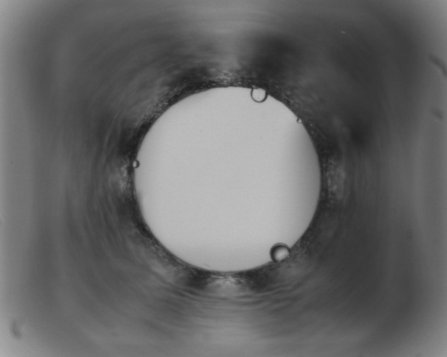 X0000103900611200809191240