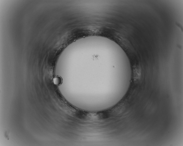X0000103900613200809191240