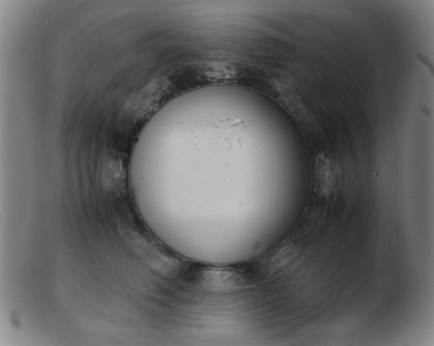 X0000103900614200809191240