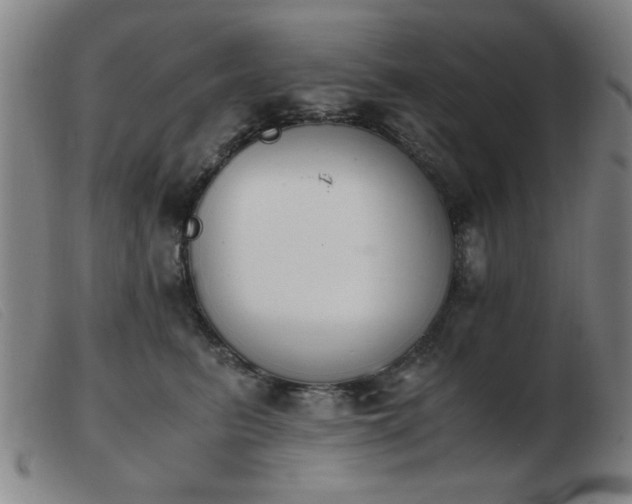 X0000103900615200809191240