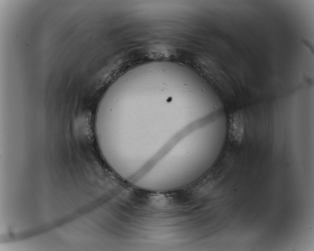 X0000103900616200809191240