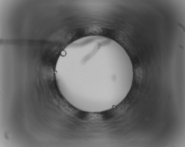 X0000103900617200809191240