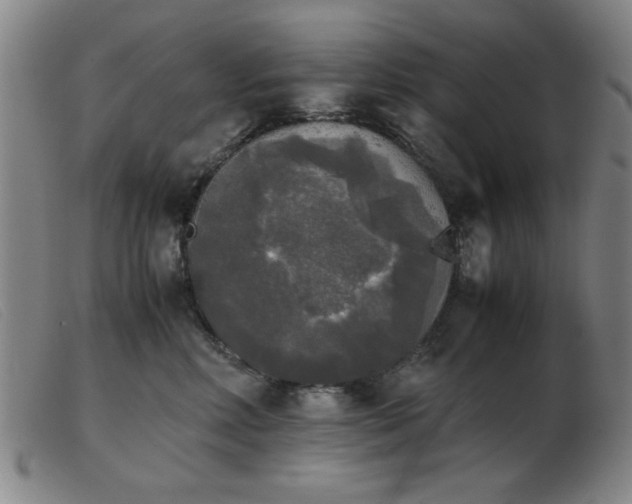 X0000103900618200809191240