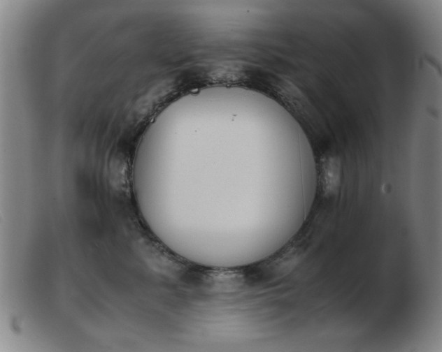 X0000103900619200809191240