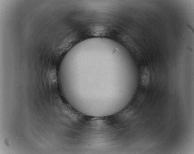 X0000103900620200809191240