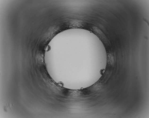 X0000103900621200809191240