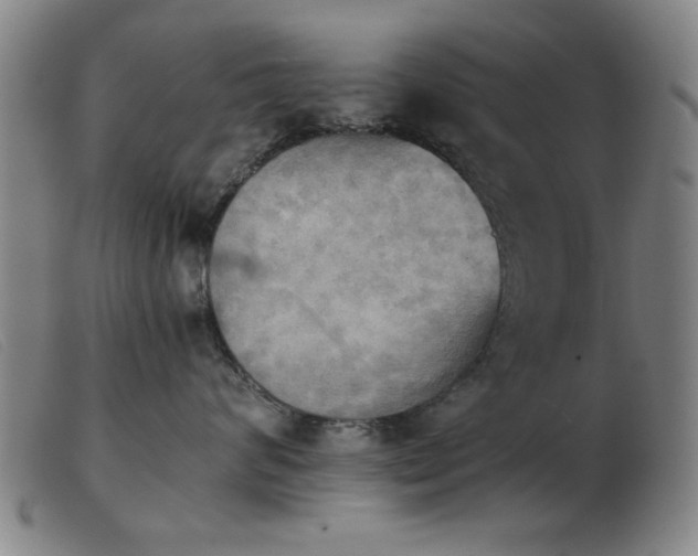 X0000103900624200809191240