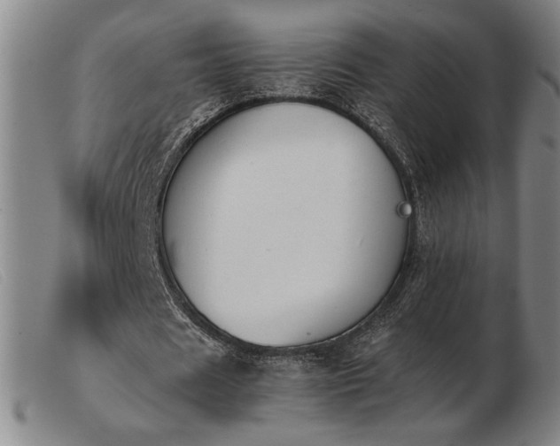 X0000103900625200809191239