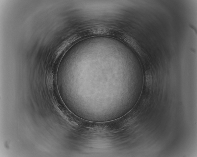 X0000103900626200809191239