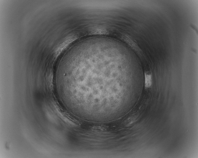 X0000103900627200809191239