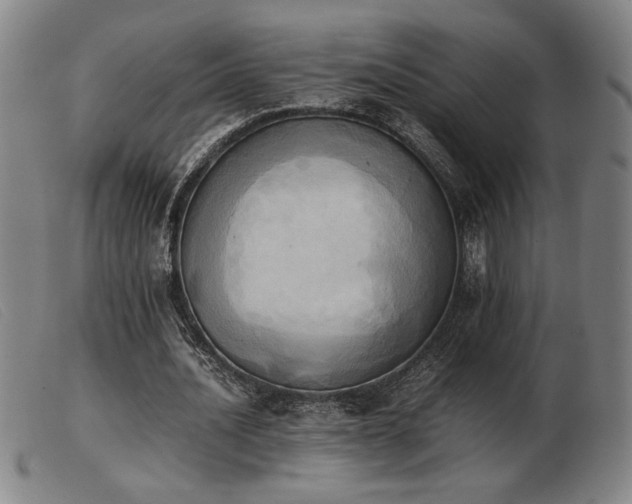 X0000103900628200809191239