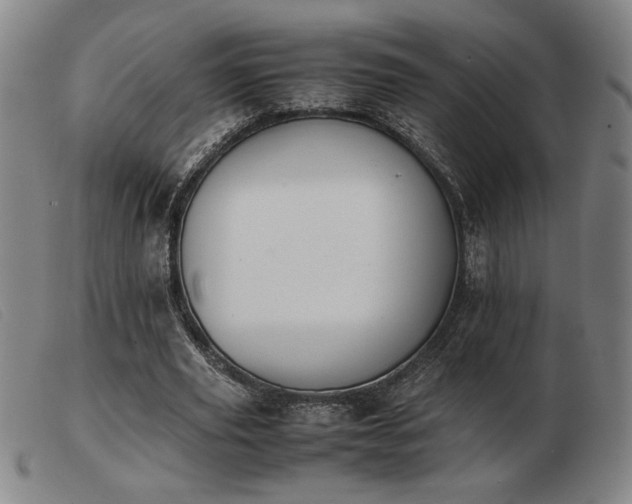 X0000103900629200809191239