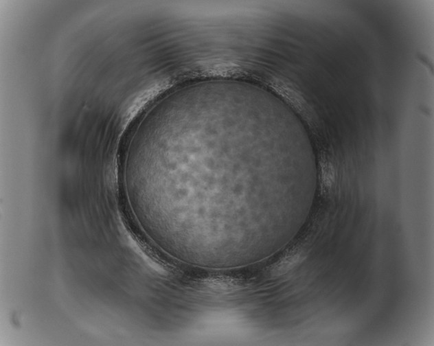X0000103900630200809191239