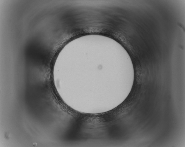X0000103900631200809191239