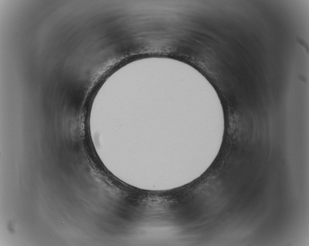 X0000103900632200809191239